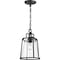 Progress Lighting Benton Harbor Collection One-Light Hanging Lantern with DURASHIELD P550065-031 - alternate 4